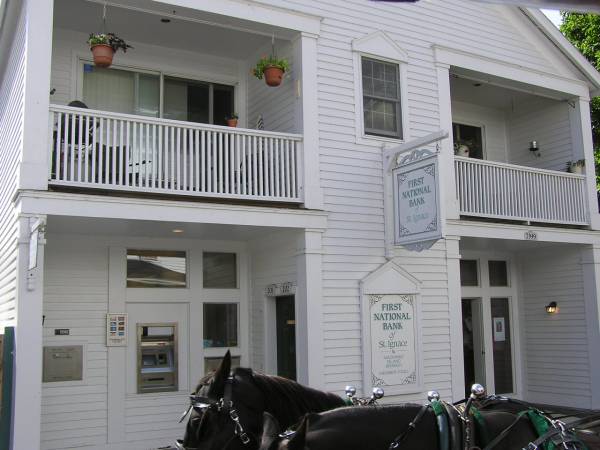 Mackinac Island View