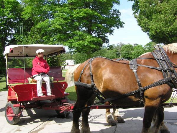 Carriage