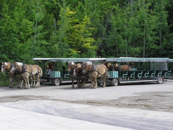 Tour Carriages Waiting