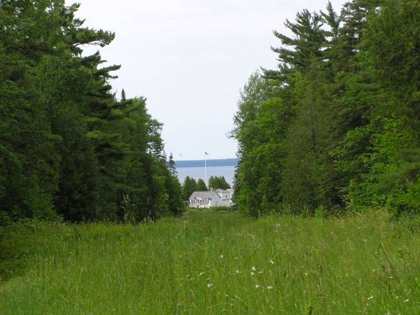 Fort Mackinac Through the Trees