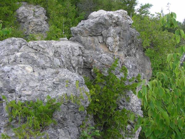 View From Arch Rock