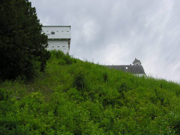 Mackinac Island View