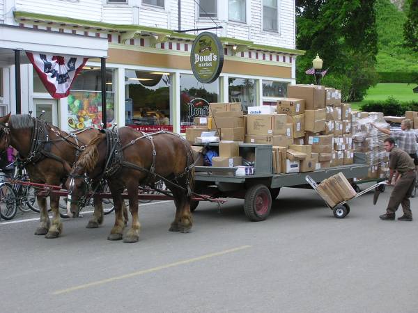 UPS Even Has Brown Horses Here!