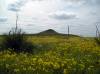 902_Grasslands.jpg