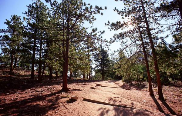 Rocky Mountain Trail