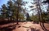 Rocky_Mountain_Trail.JPG