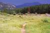 Trail_in_Meadows.jpg