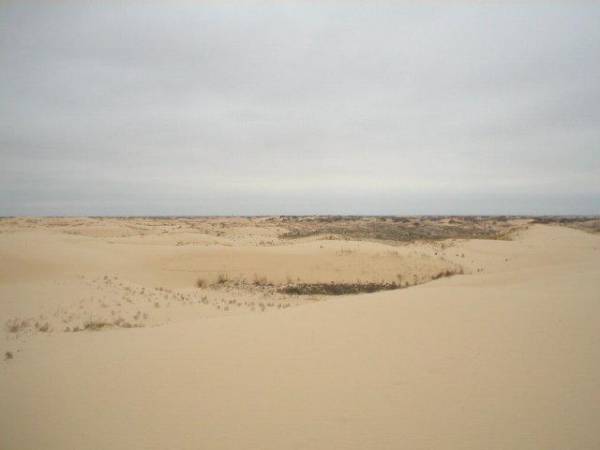 Monahan Sandhills Near Monahan, Texas