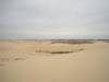 50_MonahanSandhills.jpg