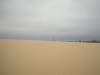 51_MonahanSandhills.jpg