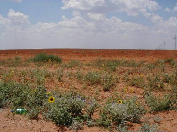 Scenic View in West Texas