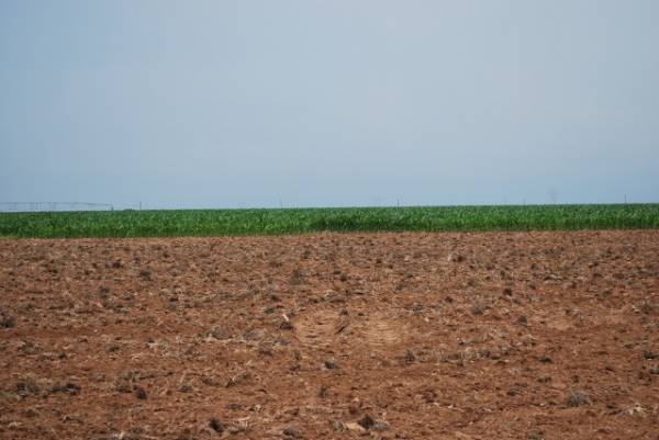 Scenic View From Earth, Texas