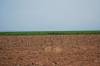 160_ScenicViewFromEarth.jpg