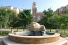 211_TexasTechUniversity.jpg