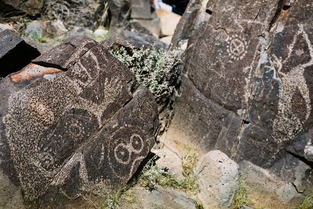 Aug 13 Three Rivers Petroglyph Site, NM