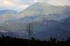 Aug_17_Big_Burro_Mountains_Gila_National_Forest_NM.JPG