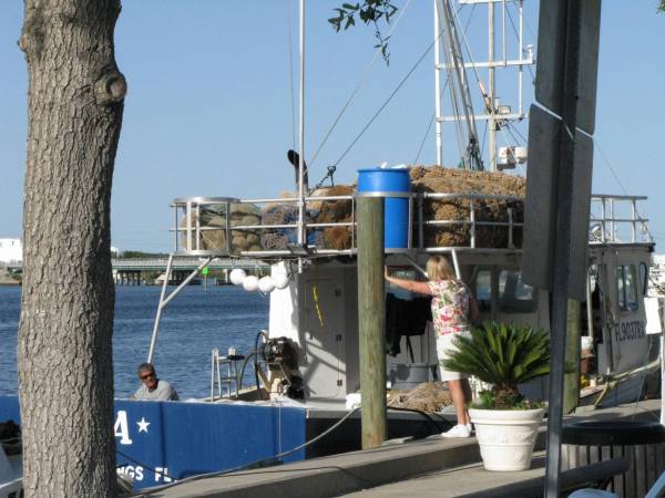 Sponge boat along famous Sponge Docks at Tarpon Springs.