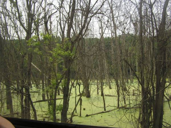 Green Water Everywhere - Cuyahoga Valley Scenic Railroad