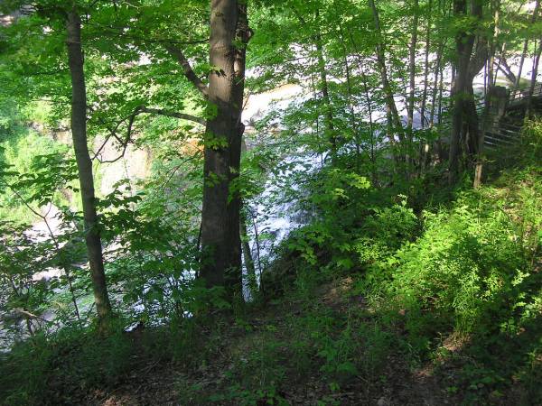 Brandywine Falls Through the Trees