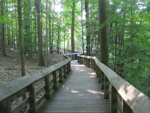 Boardwalk to Brandywine Falls