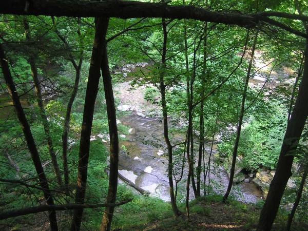 Downstream From Brandywine Falls