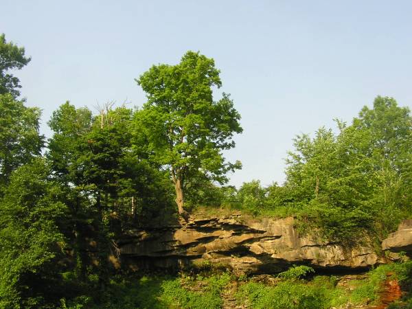 Looking Across Brandywine Falls