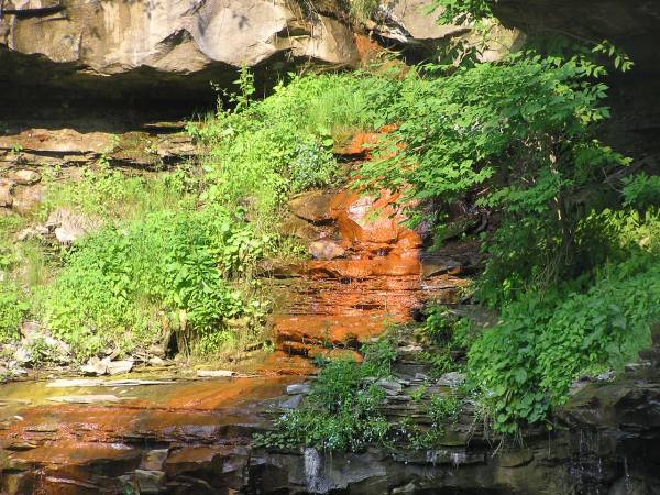 Pretty Rocks Below Brandywine Falls