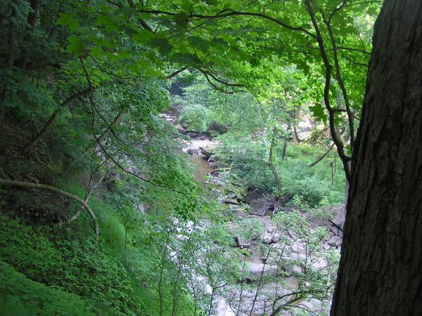 Looking Downstream From Brandywine Falls