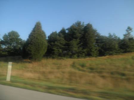Indiana Hillside - Day 2