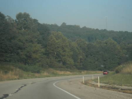 Hoosier Forest - Day 2