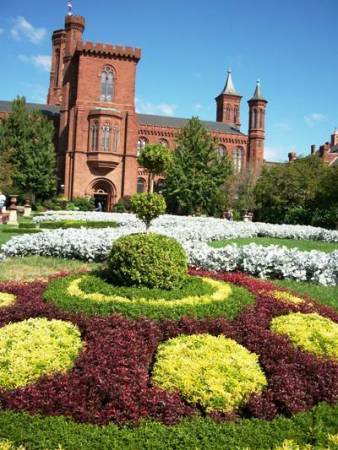 Smithsonian Topiary