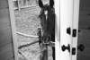 L1024394bw.jpg