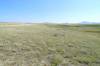 Bear_Paw_Battlefield_C_aynnim_Alikinwaaspa.JPG