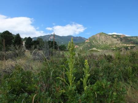 Bear Creek Regional Park and Nature Center