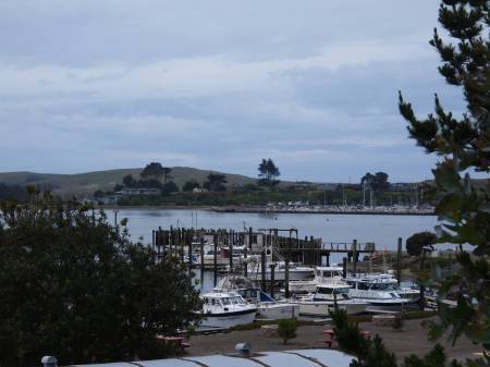 Bodega Bay