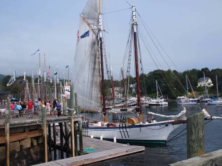 Camden Windjammer Festival