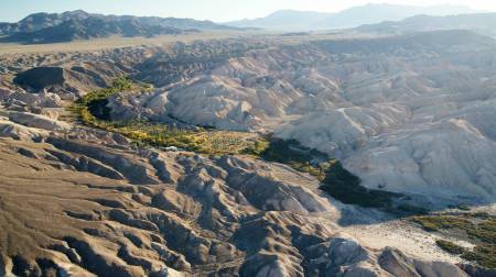 China Date Ranch