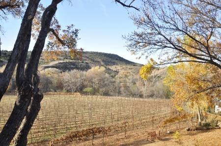 Cornville wineries