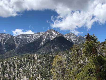 Snow-capped Mt. Charleston