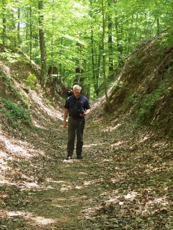 Sunken Trace