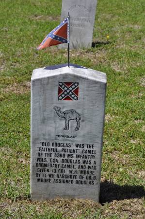 Gravestone of Old Douglas, mascot