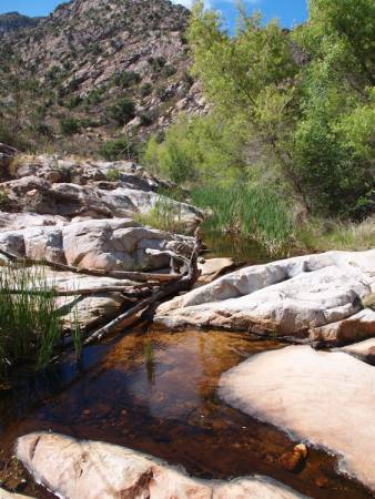 Romero Pools at Catalina State Park
