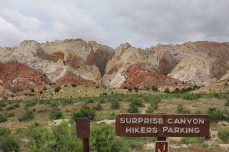 Surprise Canyon- Waterpocket Fold
