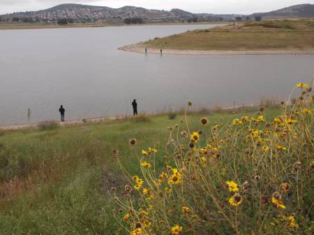 Sweetwater Reservoir fishing area