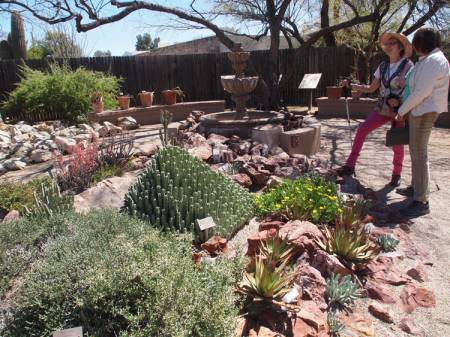 Tucson Botanical Gardens