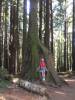 Arcata_Community_Forest.jpg