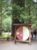 Armstrong_Redwoods.jpg
