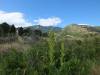 Bear_Creek_Regional_Park_Nature_Center_CO.jpg