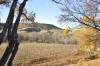 Cornville_Arizona_wineries.jpg