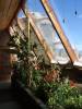 Earthship_interior.jpg